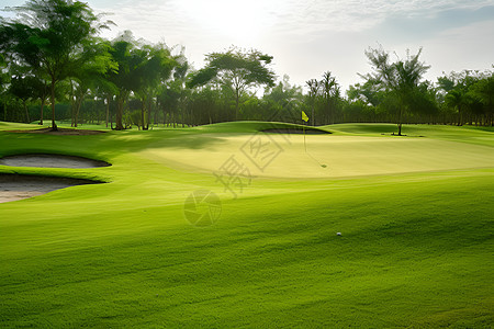 绿油油的高尔夫球场图片