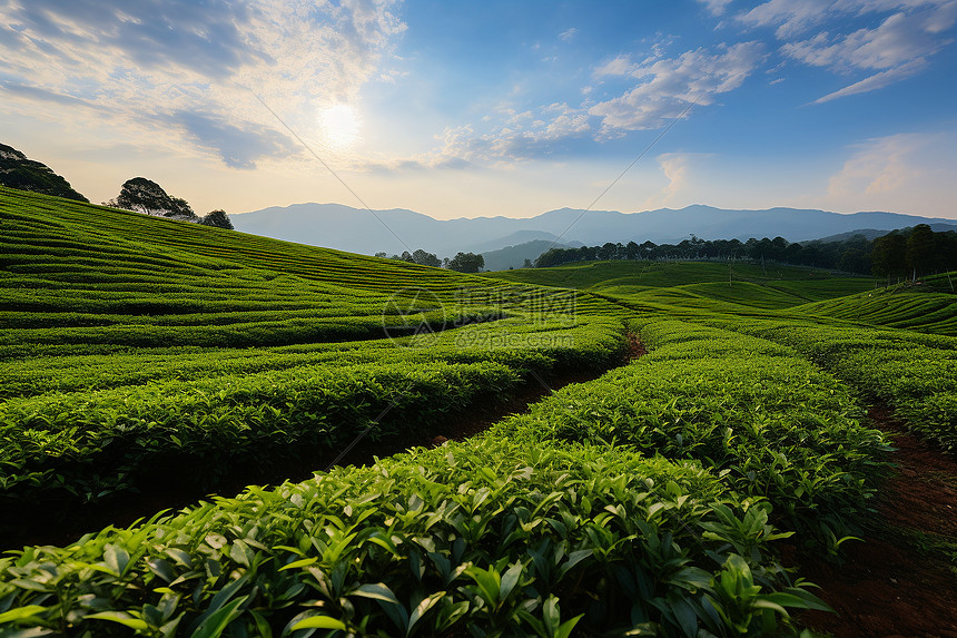 丰饶山水图片