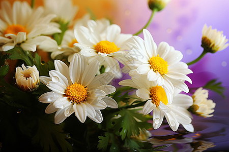 桌上白色的花朵背景图片