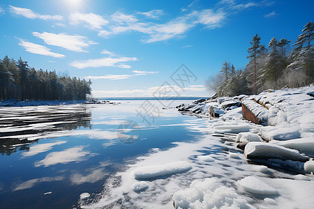 雪地森林冰封的湖泊背景