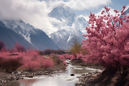 河流与粉色树木图片