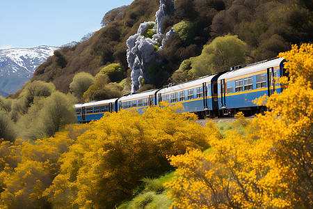 火车穿越山谷图片