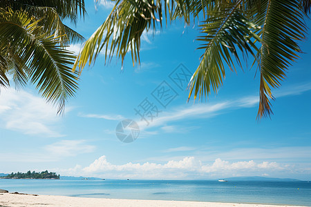 夏季热带度假海滩的美丽景观图片