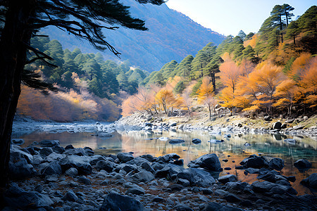 秋日山水雅致的景色图片