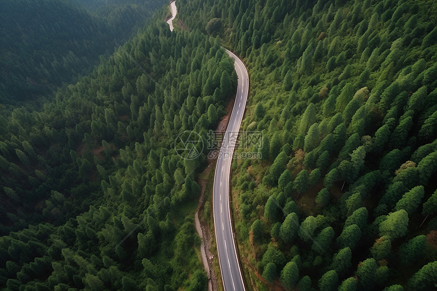 森林中蜿蜒的公路图片