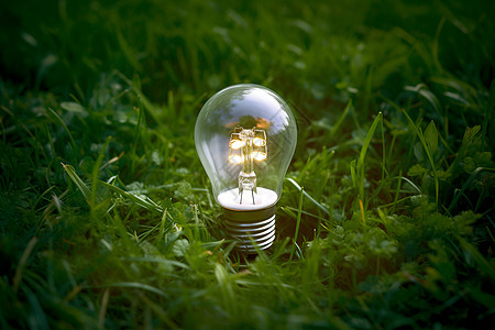灯泡环保草地上亮着一盏发光的灯泡背景