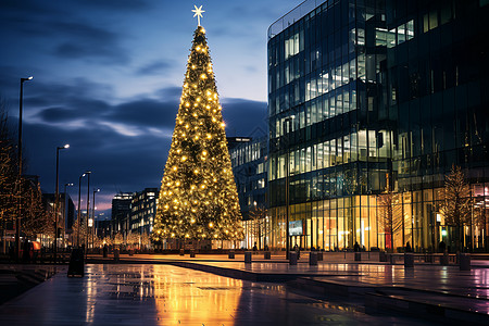 城市广场上的圣诞树背景图片