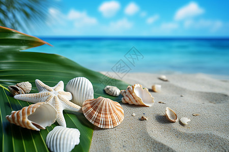 沙滩上的贝壳高清图片下载-正版图片600959390-摄图网