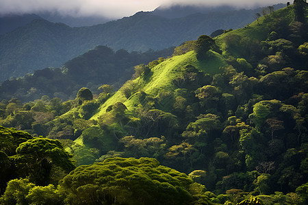 被浓绿植被覆盖的山背景图片