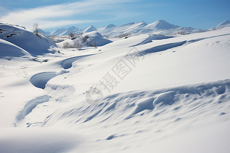 冬日滑雪乐趣图片