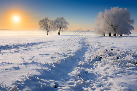 冬日远景一片雪地中一条小路图片
