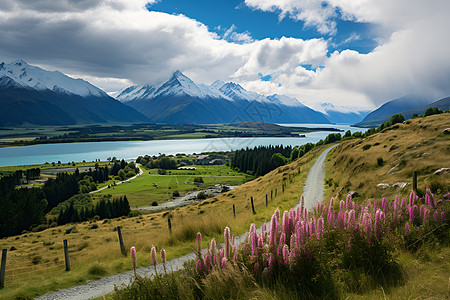 森林公路美丽山水公路穿越山谷背景