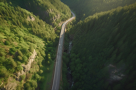 森林公路森林中曲径的公路背景