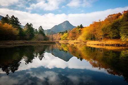 山水树木清幽的山水背景