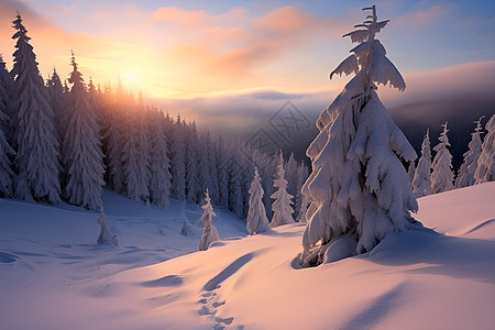 夕阳下的雪景图片