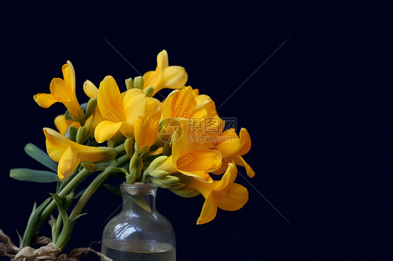 瓶中的黄色花朵图片