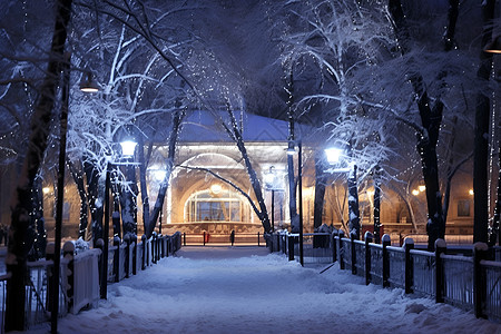 冬夜的雪景图片