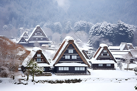 雪中的村庄插画冬日的白川乡雪中的白川合村背景