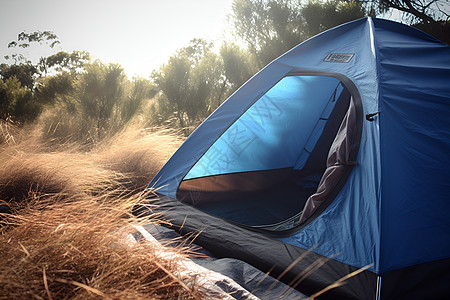 田野中的蓝色帐篷图片