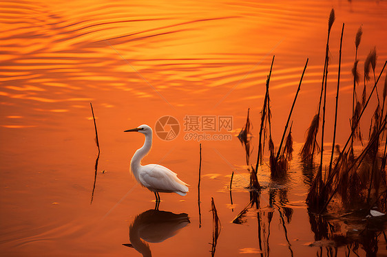 黄昏时的景色图片