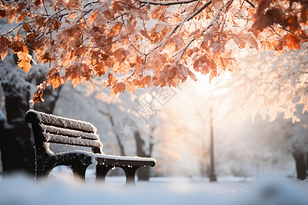 阳光下的雪景暖阳下的长椅背景
