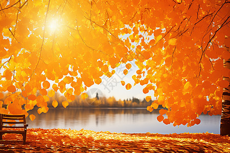 秋色之美景图片
