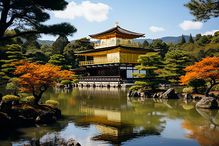 日本花园的池塘景观图片