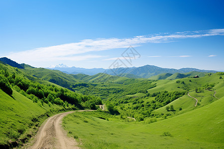 山谷间的一条泥路背景图片