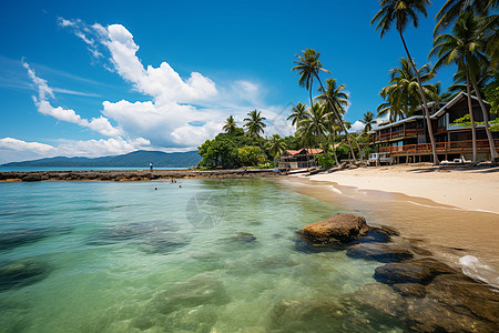 手绘大海小屋与棕榈树背景