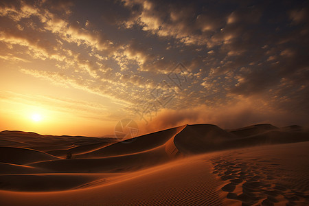 荒凉的沙漠之夜图片