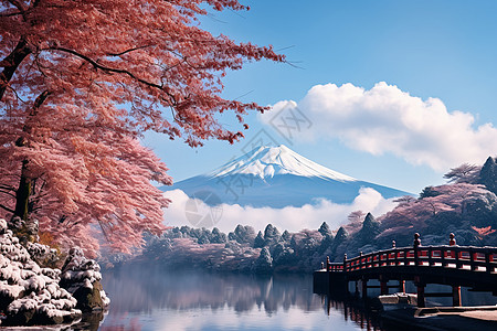 富士山日本富士山下红桥映秋山背景