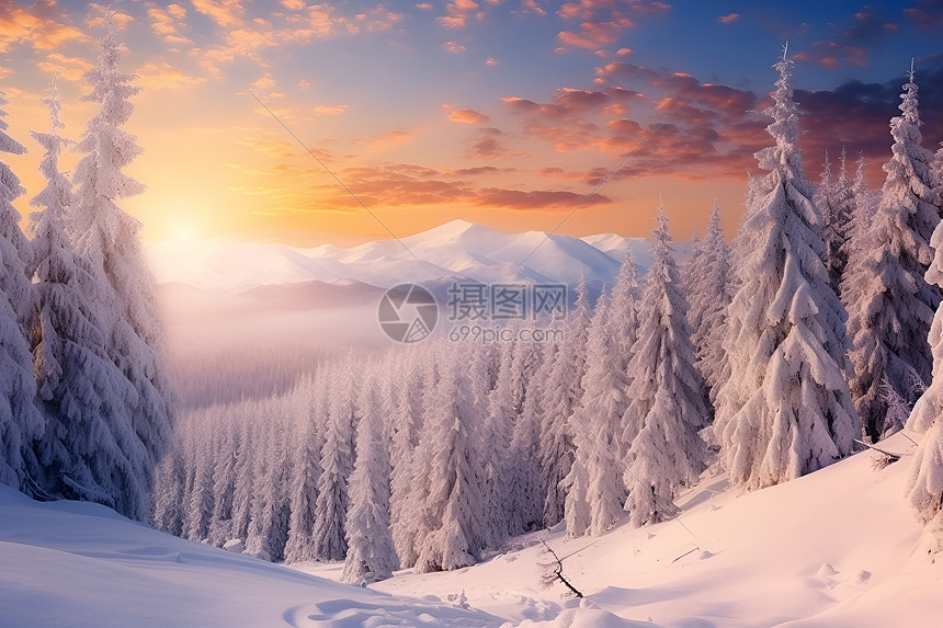 冬日黎明下的童话世界图片