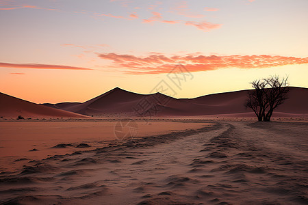 户外旷野的沙漠图片