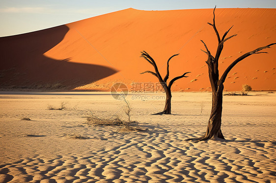 沙漠之中的沙丘图片