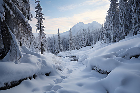 积雪的山林背景图片