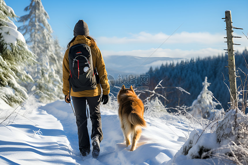 冬日登山者与狗狗在雪地中行走图片