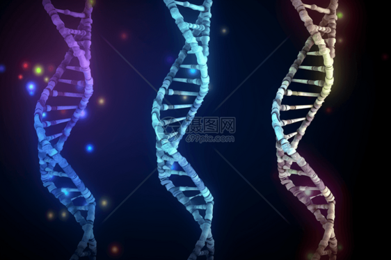 螺旋线的DNA细胞概念图图片