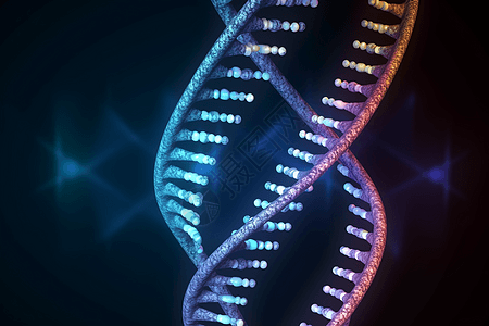 微生物的螺旋线DNA细胞概念图图片