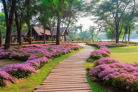 溪水石头公园中的草地花丛背景