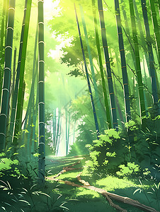 阳光明媚的夏季竹海景观插图图片