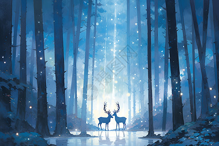 夜晚森林中的两只鹿背景图片
