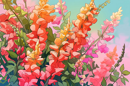 色彩斑斓的兰花图片