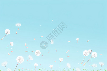 清新自然的蒲公英花朵背景图片