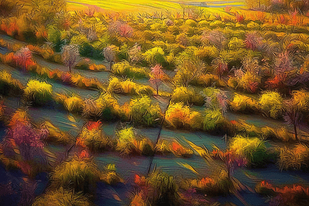 五彩斑斓的乡村农业种植田野背景图片