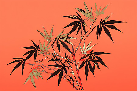 红色背景下的竹枝图片