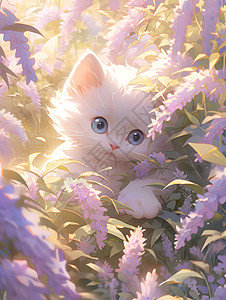 白色小猫在花丛中图片