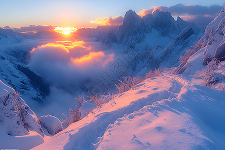 阳光下的雪山图片