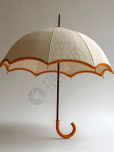 杏色的雨伞图片