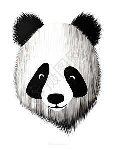 大熊猫的头图片