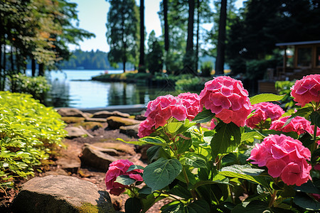 湖畔的粉色花丛背景